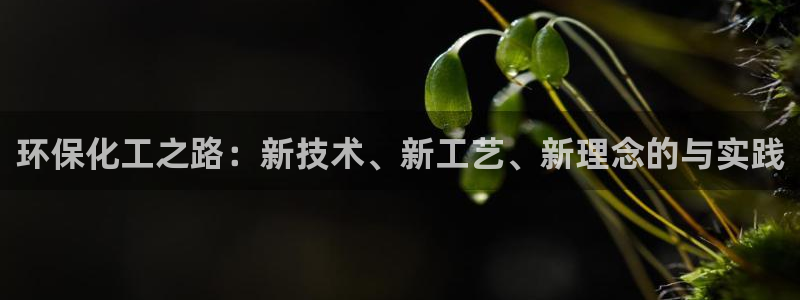 亿万app下载:环保化工之路:新技术、新工艺、新理念的与实践