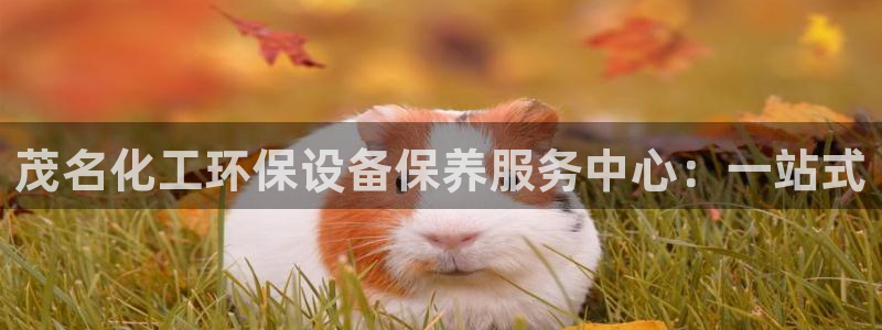 亿万先生现在的网址谁知道是真的：茂名化工环保设备保养服务中心：一站式