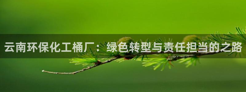 亿万先生换网址了吗：云南环保化工桶厂：绿色转型与责任担当的之路