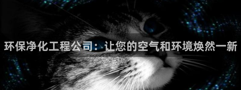 亿万先生网站：环保净化工程公司：让您的空气和环境焕然一新