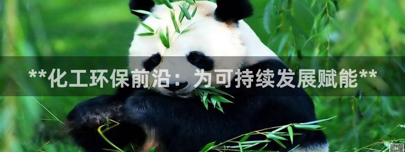 亿万先生官方网站：**化工环保前沿：为可持续发展赋能**