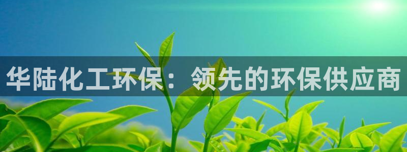 亿万笞人：华陆化工环保：领先的环保供应商