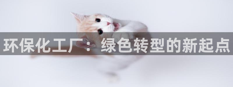 亿万先生 手机版下载：环保化工厂：绿色转型的新起点