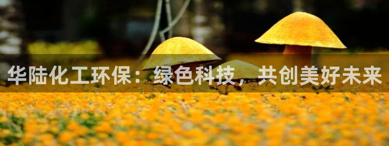 亿万先生手机版入口在哪下载：华陆化工环保：绿色科技，共创美好未来