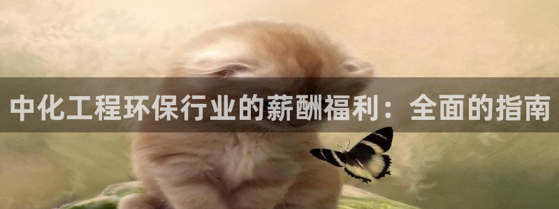 亿万先生手游下载安装：中化工程环保行业的薪酬福利：全面的指南