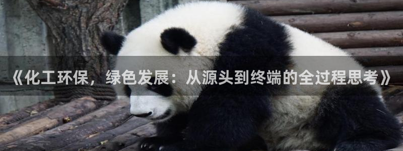 亿万城市手游：《化工环保，绿色发展：从源头到终端的全过程思考》