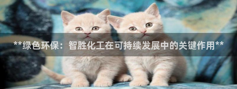 亿万手游平台官网下载：**绿色环保：智胜化工在可持续发展中的关键作用**