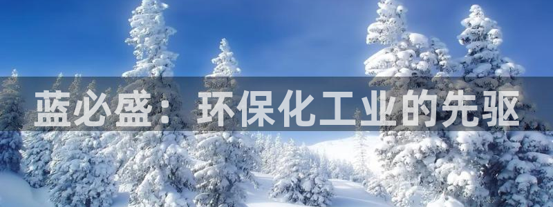 电影 亿万：蓝必盛：环保化工业的先驱