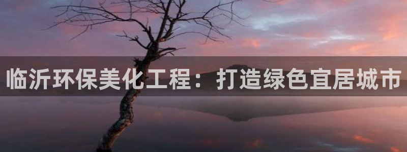 亿万国际合法吗：临沂环保美化工程：打造绿色宜居城市